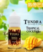 TUNDRA T牌